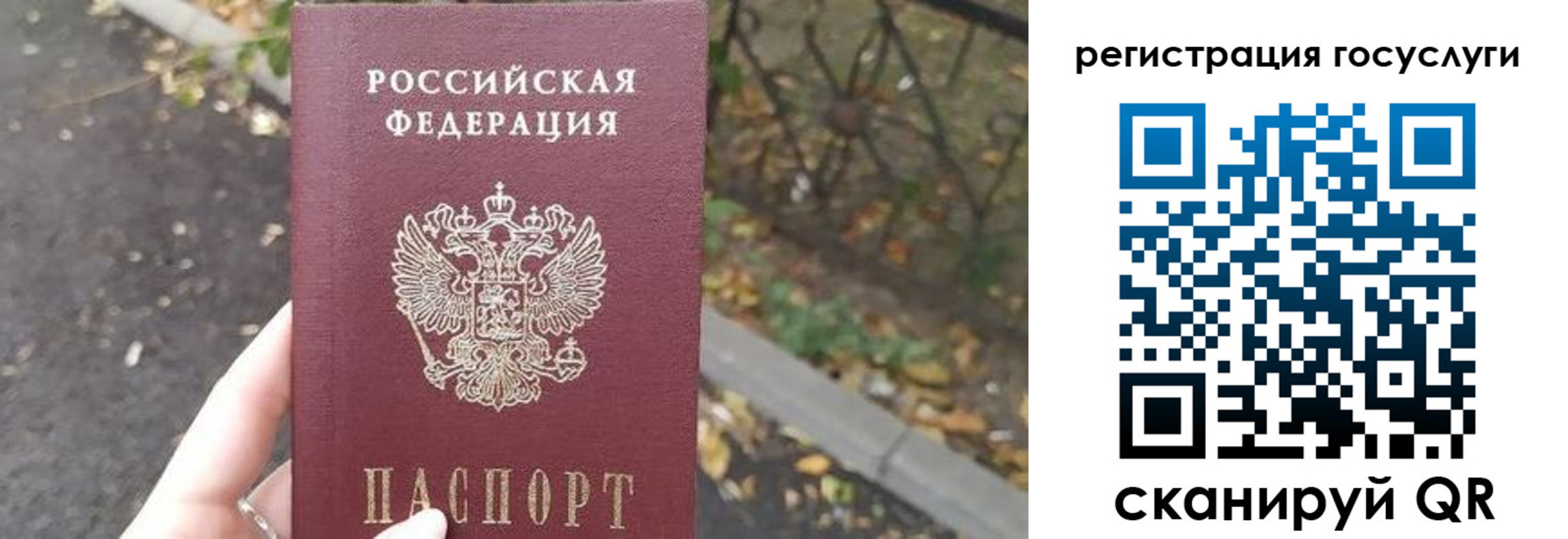 купить прописку в Заволжске